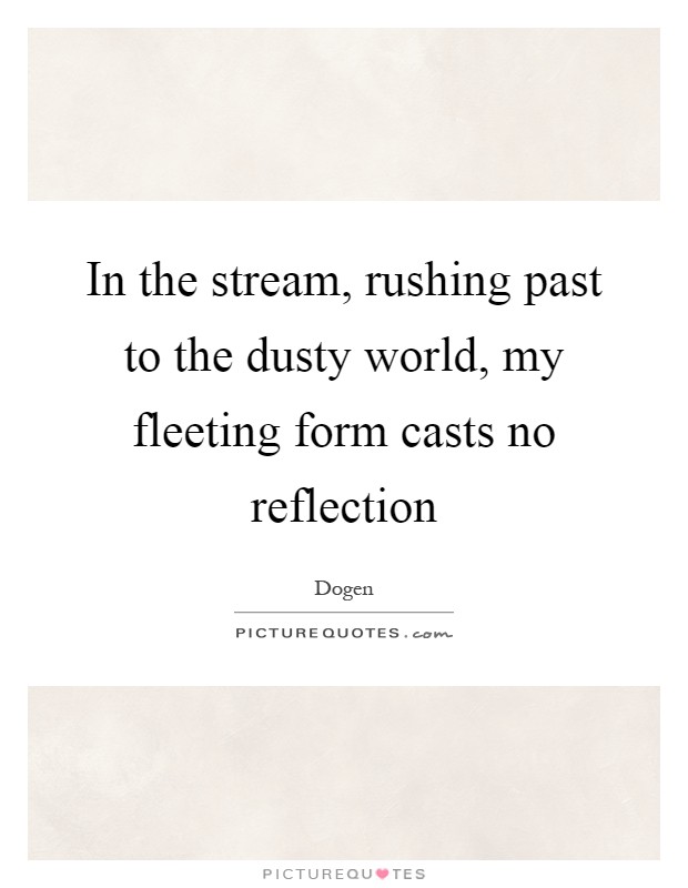 In the stream, rushing past to the dusty world, my fleeting form casts no reflection Picture Quote #1