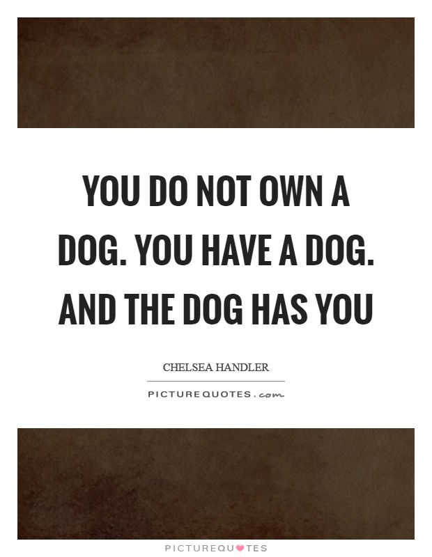 You do not OWN a dog. You HAVE a dog. And the dog HAS YOU Picture Quote #1