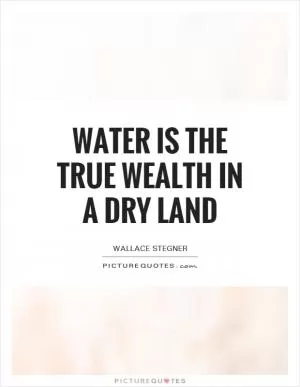 Water is the true wealth in a dry land Picture Quote #1