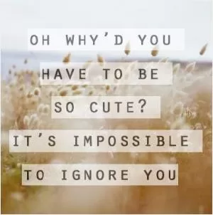 Oh why'd you have to be so cute? It's impossible to ignore you Picture Quote #1