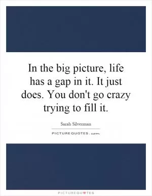 In the big picture, life has a gap in it. It just does. You don't go crazy trying to fill it Picture Quote #1