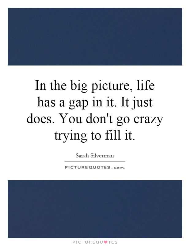 In the big picture, life has a gap in it. It just does. You don't go crazy trying to fill it Picture Quote #1