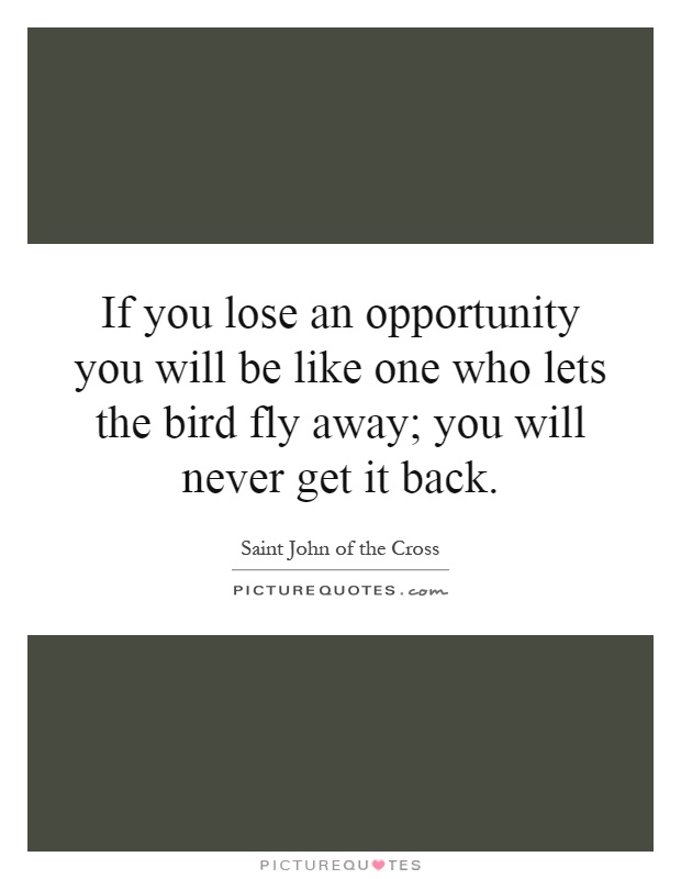 If you lose an opportunity you will be like one who lets the bird fly away; you will never get it back Picture Quote #1