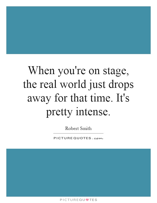 When you're on stage, the real world just drops away for that time. It's pretty intense Picture Quote #1