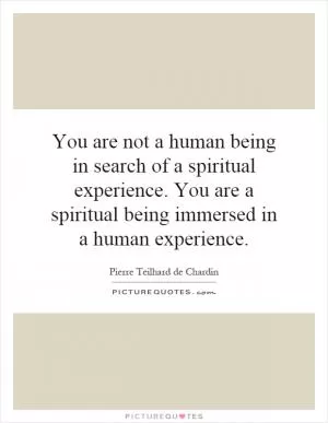 You are not a human being in search of a spiritual experience. You are a spiritual being immersed in a human experience Picture Quote #1
