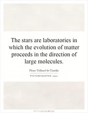 The stars are laboratories in which the evolution of matter proceeds in the direction of large molecules Picture Quote #1