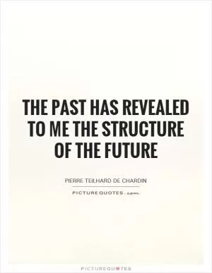 The past has revealed to me the structure of the future Picture Quote #1