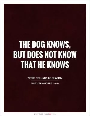 The dog knows, but does not know that he knows Picture Quote #1