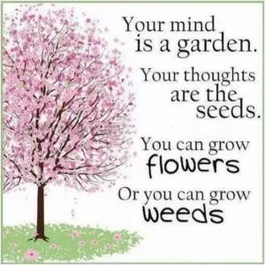 Your mind is a garden, your thoughts are the seeds. You can grow flowers, or you can grow weeds Picture Quote #1