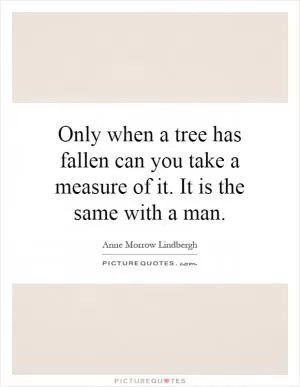 Only when a tree has fallen can you take a measure of it. It is the same with a man Picture Quote #1
