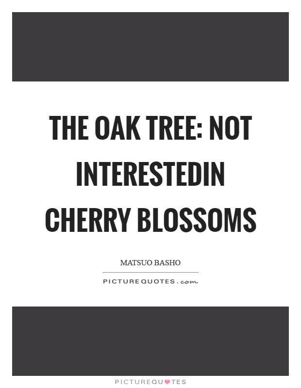 The oak tree: not interestedin cherry blossoms Picture Quote #1