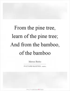 From the pine tree, learn of the pine tree; And from the bamboo, of the bamboo Picture Quote #1