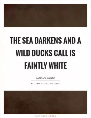 The sea darkens and a wild ducks call is faintly white Picture Quote #1