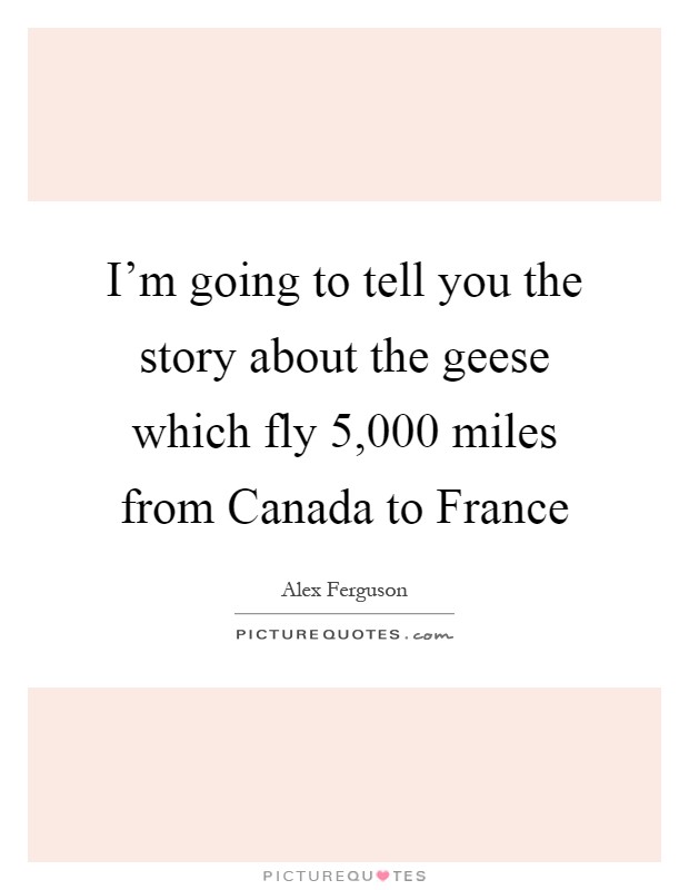 I'm going to tell you the story about the geese which fly 5,000 miles from Canada to France Picture Quote #1