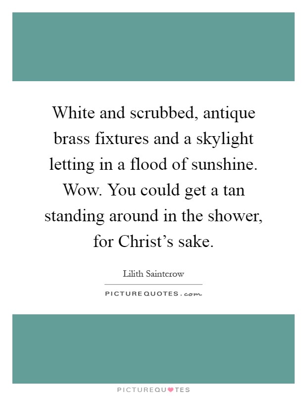 White and scrubbed, antique brass fixtures and a skylight letting in a flood of sunshine. Wow. You could get a tan standing around in the shower, for Christ's sake Picture Quote #1