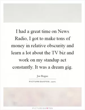 I had a great time on News Radio, I got to make tons of money in relative obscurity and learn a lot about the TV biz and work on my standup act constantly. It was a dream gig Picture Quote #1