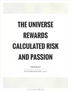The Universe rewards calculated risk and passion Picture Quote #1