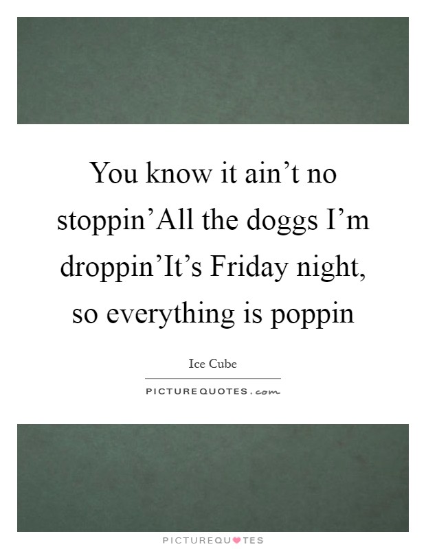 You know it ain't no stoppin'All the doggs I'm droppin'It's Friday night, so everything is poppin Picture Quote #1