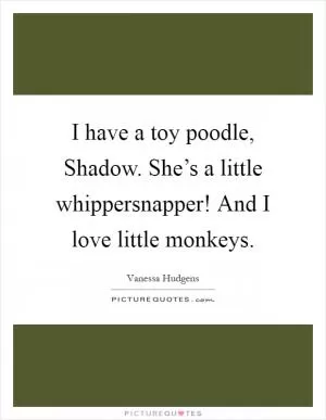 I have a toy poodle, Shadow. She’s a little whippersnapper! And I love little monkeys Picture Quote #1