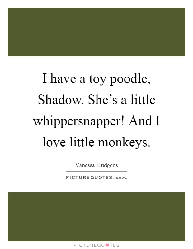 I have a toy poodle, Shadow. She's a little whippersnapper! And I love little monkeys Picture Quote #1