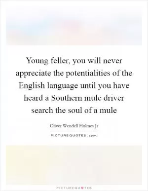 Young feller, you will never appreciate the potentialities of the English language until you have heard a Southern mule driver search the soul of a mule Picture Quote #1