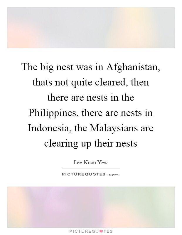 The big nest was in Afghanistan, thats not quite cleared, then there are nests in the Philippines, there are nests in Indonesia, the Malaysians are clearing up their nests Picture Quote #1