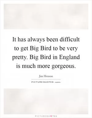 It has always been difficult to get Big Bird to be very pretty. Big Bird in England is much more gorgeous Picture Quote #1