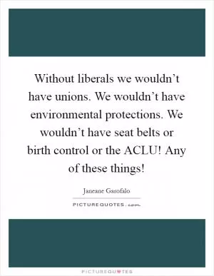 Without liberals we wouldn’t have unions. We wouldn’t have environmental protections. We wouldn’t have seat belts or birth control or the ACLU! Any of these things! Picture Quote #1