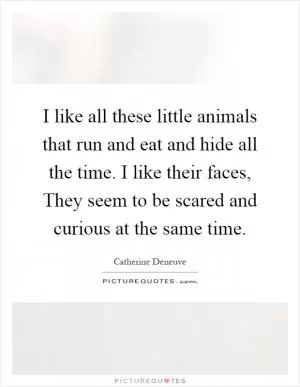 I like all these little animals that run and eat and hide all the time. I like their faces, They seem to be scared and curious at the same time Picture Quote #1