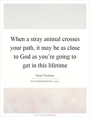 When a stray animal crosses your path, it may be as close to God as you’re going to get in this lifetime Picture Quote #1