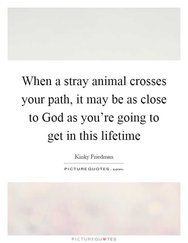 When a stray animal crosses your path, it may be as close to God as you're going to get in this lifetime Picture Quote #1