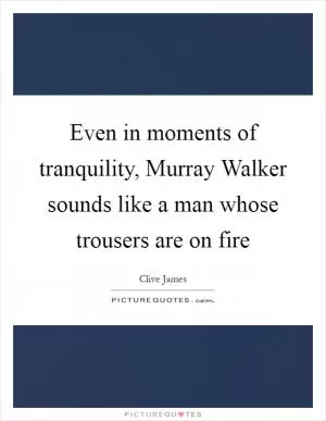 Even in moments of tranquility, Murray Walker sounds like a man whose trousers are on fire Picture Quote #1