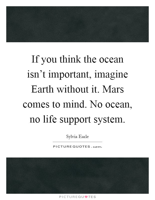 If you think the ocean isn't important, imagine Earth without it. Mars comes to mind. No ocean, no life support system Picture Quote #1