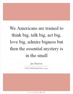 We Americans are trained to think big, talk big, act big, love big, admire bigness but then the essential mystery is in the small Picture Quote #1