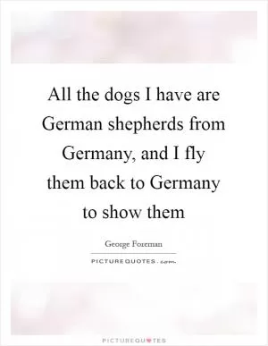 All the dogs I have are German shepherds from Germany, and I fly them back to Germany to show them Picture Quote #1