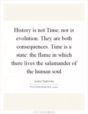 History is not Time; nor is evolution. They are both consequences. Time is a state: the flame in which there lives the salamander of the human soul Picture Quote #1