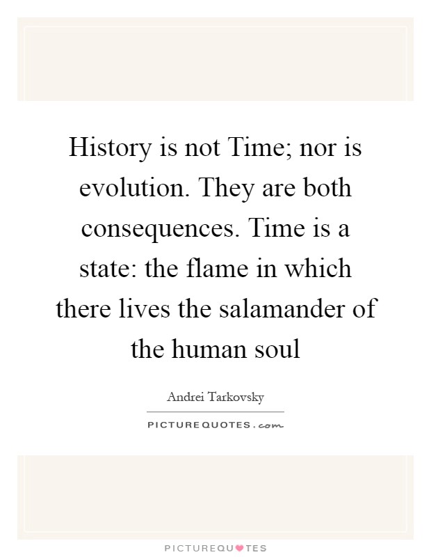 History is not Time; nor is evolution. They are both consequences. Time is a state: the flame in which there lives the salamander of the human soul Picture Quote #1