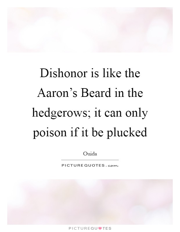 Dishonor is like the Aaron's Beard in the hedgerows; it can only poison if it be plucked Picture Quote #1