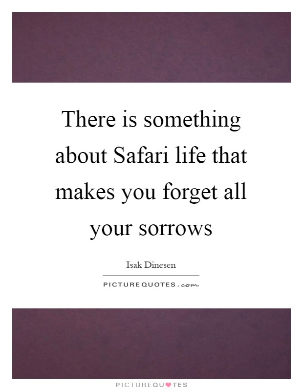 There is something about Safari life that makes you forget all your sorrows Picture Quote #1