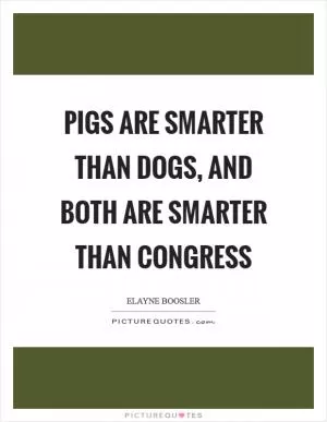 Pigs are smarter than dogs, and both are smarter than Congress Picture Quote #1