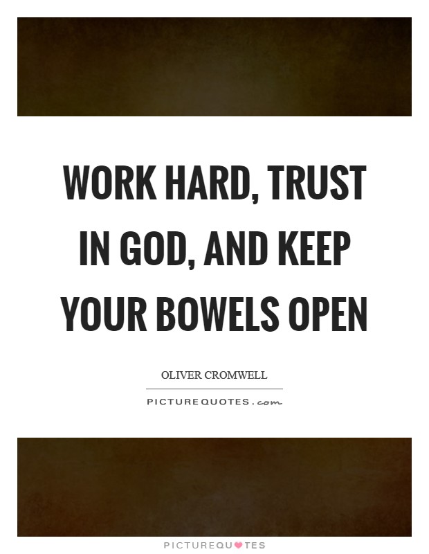Work hard, trust in God, and keep your bowels open Picture Quote #1