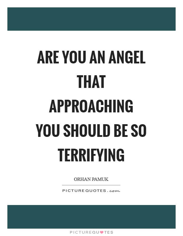 Are you an angel that approaching you should be so terrifying Picture Quote #1