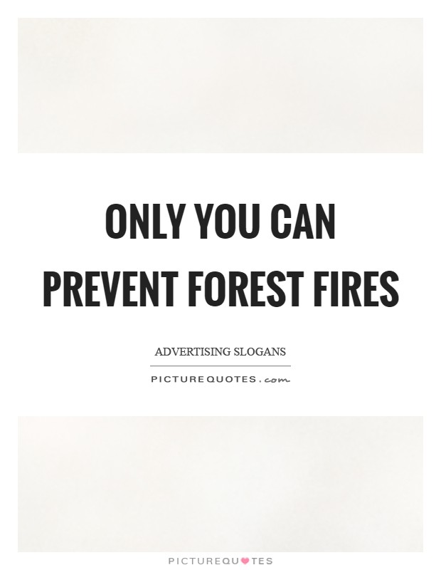 Only you can prevent forest fires Picture Quote #1