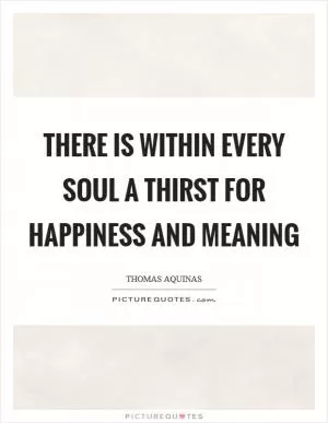 There is within every soul a thirst for happiness and meaning Picture Quote #1