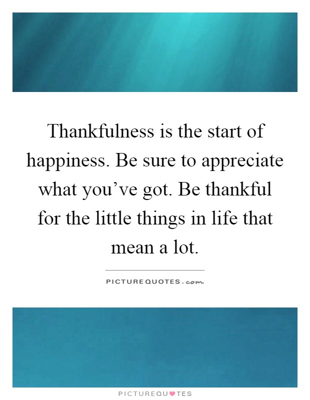 Thankfulness is the start of happiness. Be sure to appreciate what you've got. Be thankful for the little things in life that mean a lot Picture Quote #1