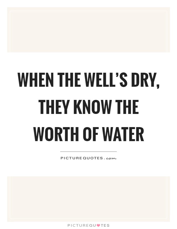 When the well's dry, they know the worth of water Picture Quote #1