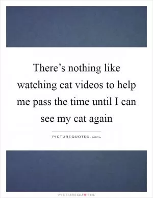 There’s nothing like watching cat videos to help me pass the time until I can see my cat again Picture Quote #1