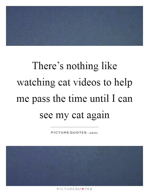 There's nothing like watching cat videos to help me pass the time until I can see my cat again Picture Quote #1