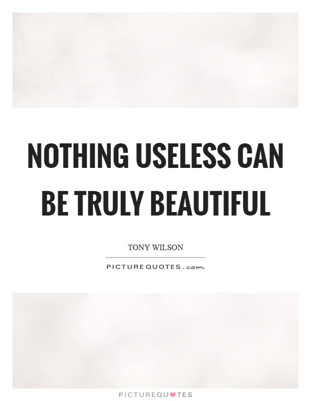 Nothing useless can be truly beautiful Picture Quote #1