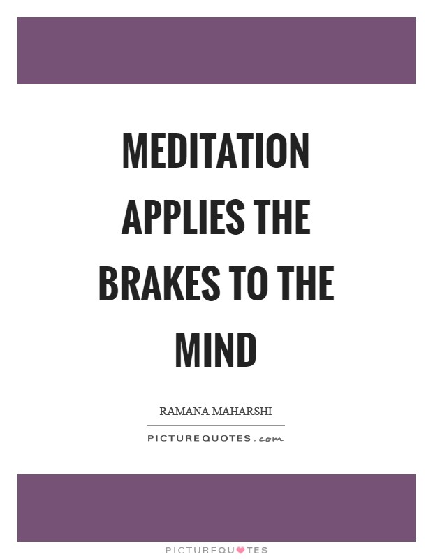 Meditation applies the brakes to the mind Picture Quote #1
